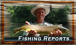 Reports from the Fishing at Asheville