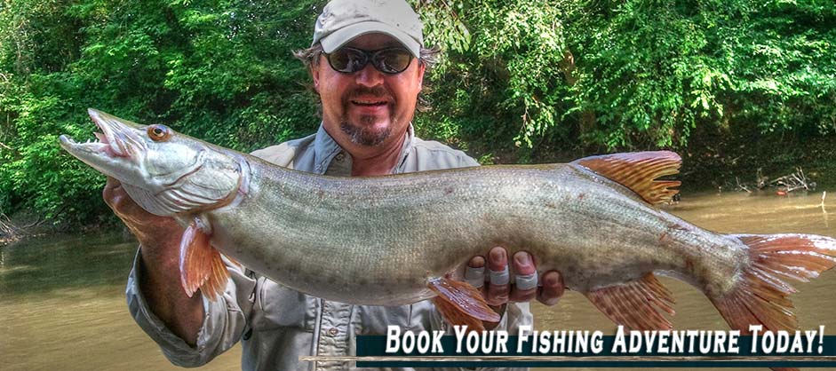 Booking a Fishing Trip with Asheville Anglers